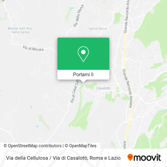 Mappa Via della Cellulosa / Via di Casalotti