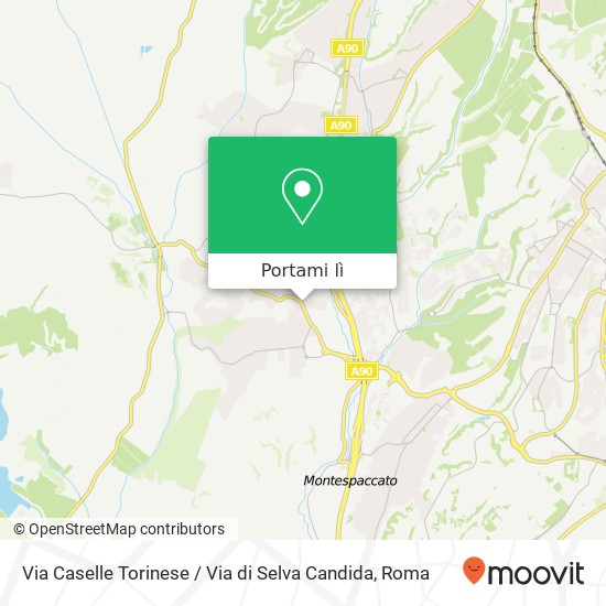 Mappa Via Caselle Torinese / Via di Selva Candida