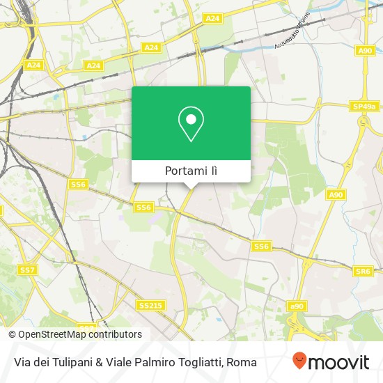 Mappa Via dei Tulipani & Viale Palmiro Togliatti