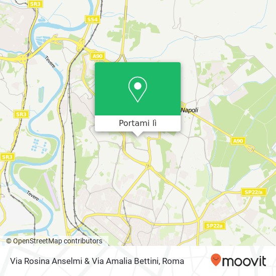 Mappa Via Rosina Anselmi & Via Amalia Bettini