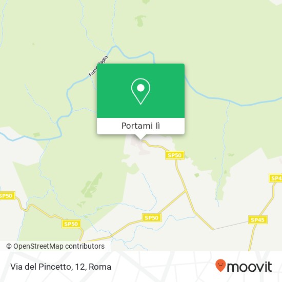 Mappa Via del Pincetto, 12