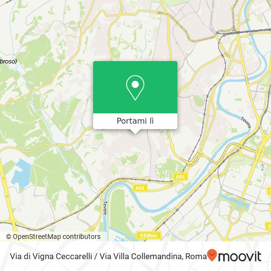 Mappa Via di Vigna Ceccarelli / Via Villa Collemandina