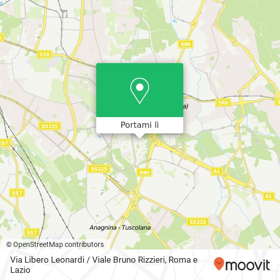 Mappa Via Libero Leonardi / Viale Bruno Rizzieri