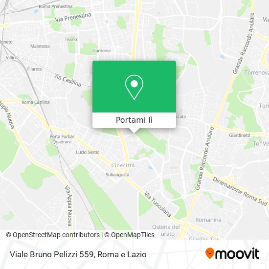 Mappa Viale Bruno Pelizzi 559