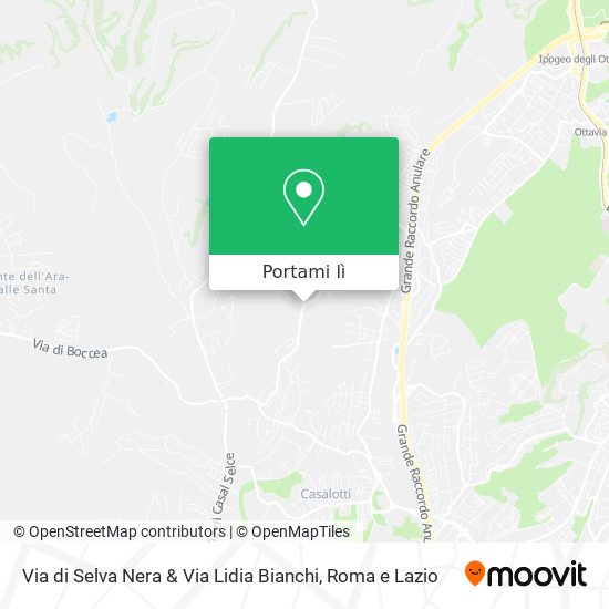 Mappa Via di Selva Nera & Via Lidia Bianchi