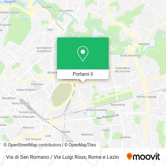 Mappa Via di San Romano / Via Luigi Roux