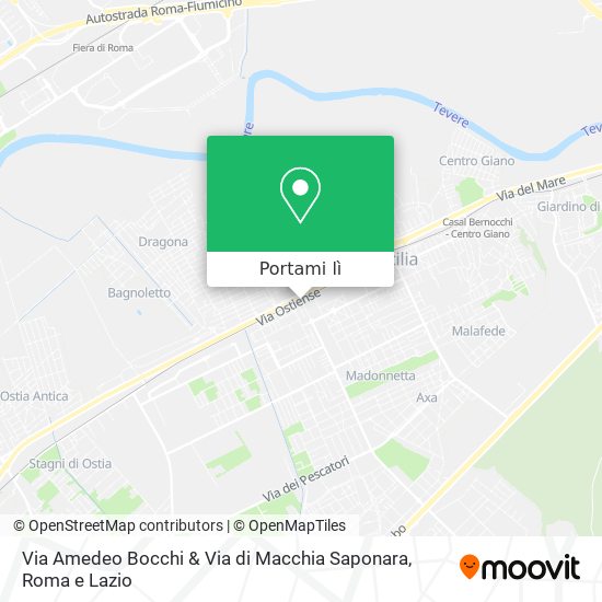 Mappa Via Amedeo Bocchi & Via di Macchia Saponara