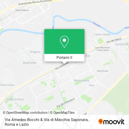 Mappa Via Amedeo Bocchi & Via di Macchia Saponara