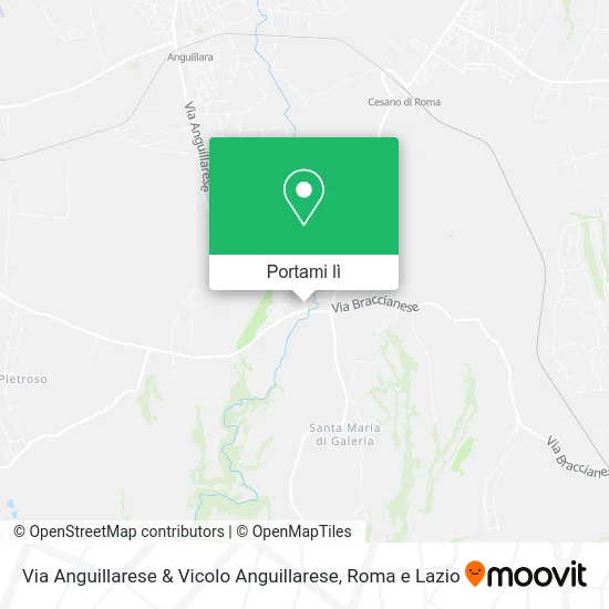 Mappa Via Anguillarese & Vicolo Anguillarese