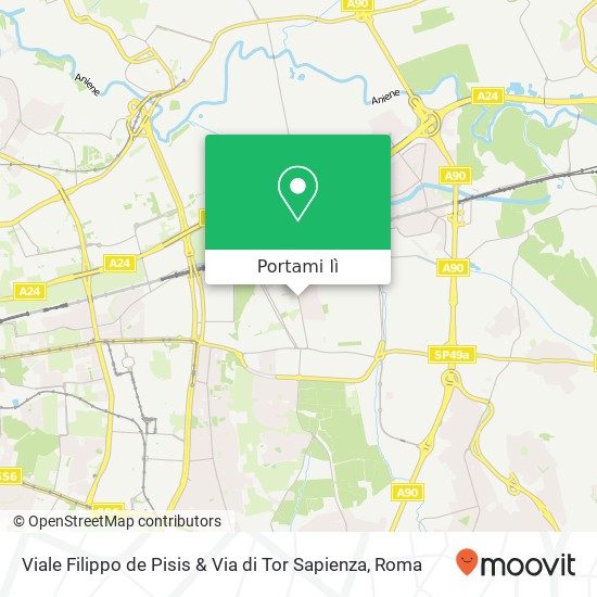 Mappa Viale Filippo de Pisis & Via di Tor Sapienza