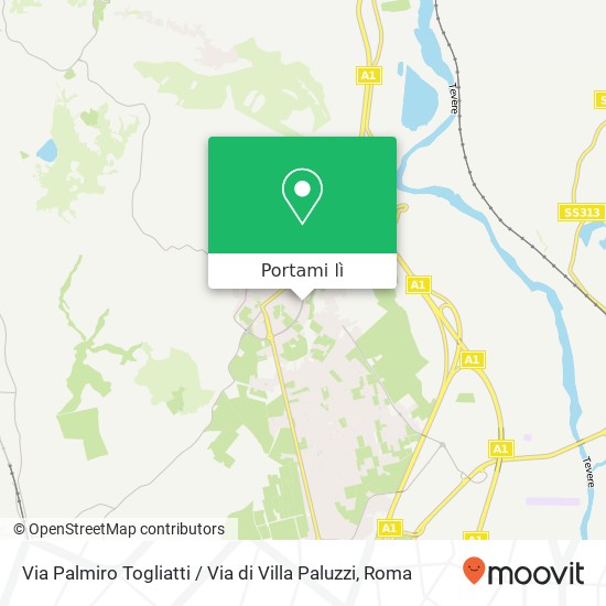 Mappa Via Palmiro Togliatti / Via di Villa Paluzzi