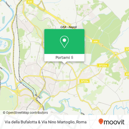 Mappa Via della Bufalotta & Via Nino Martoglio