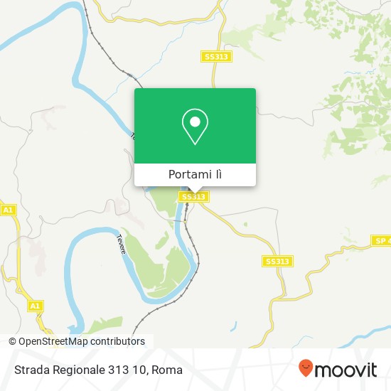 Mappa Strada Regionale 313 10