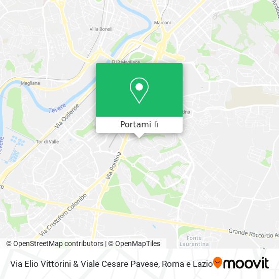 Mappa Via Elio Vittorini & Viale Cesare Pavese