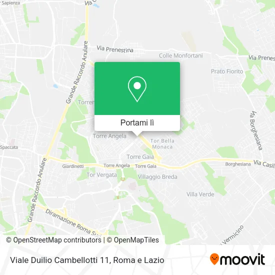 Mappa Viale Duilio Cambellotti  11