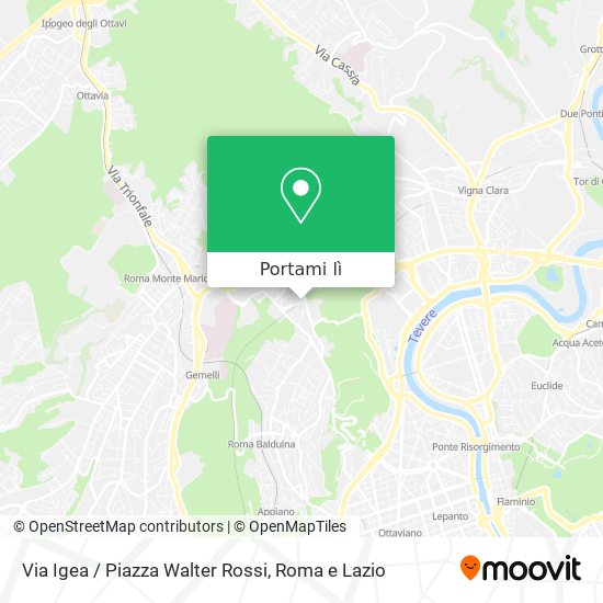 Mappa Via Igea / Piazza Walter Rossi