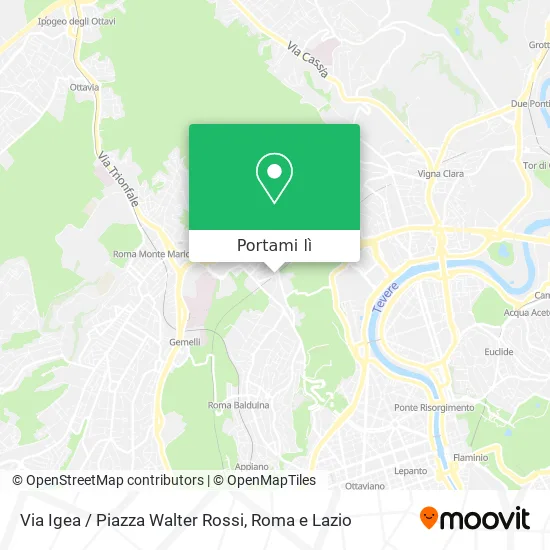 Mappa Via Igea / Piazza Walter Rossi
