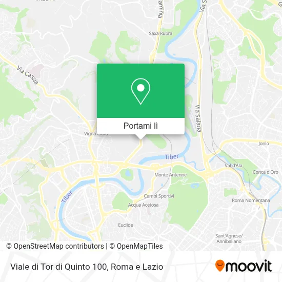 Mappa Viale di Tor di Quinto  100