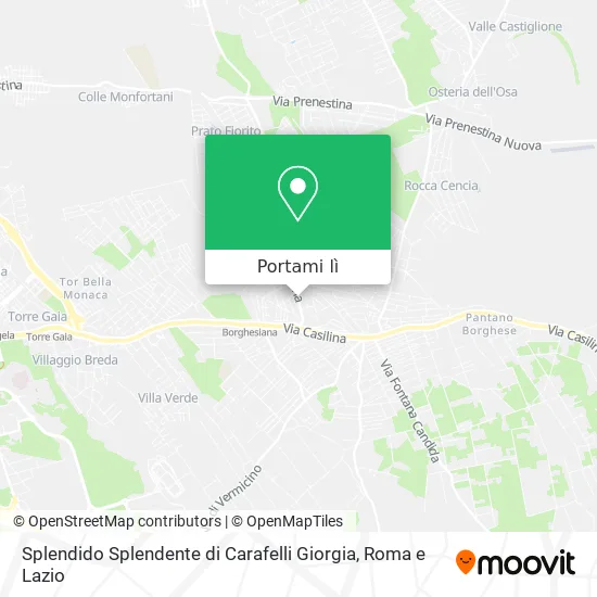Mappa Splendido Splendente di Carafelli Giorgia