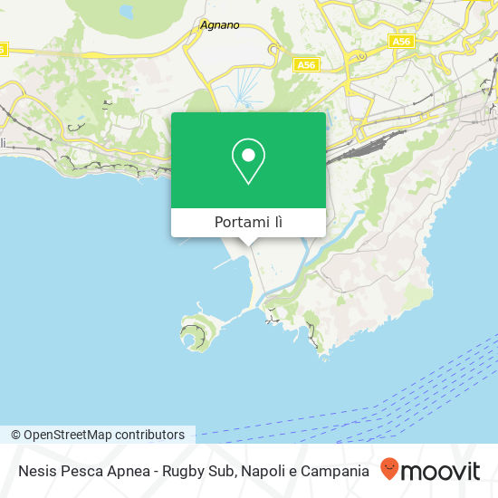 Mappa Nesis Pesca Apnea - Rugby Sub
