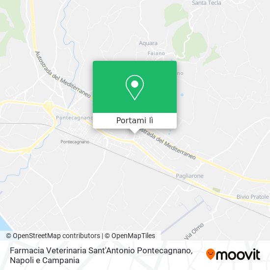 Mappa Farmacia Veterinaria Sant'Antonio Pontecagnano