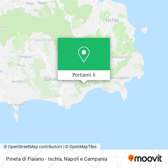 Mappa Pineta di Fiaiano - Ischia