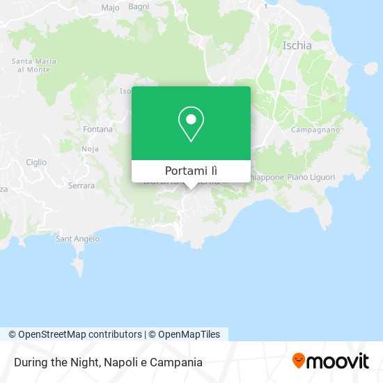 Mappa During the Night