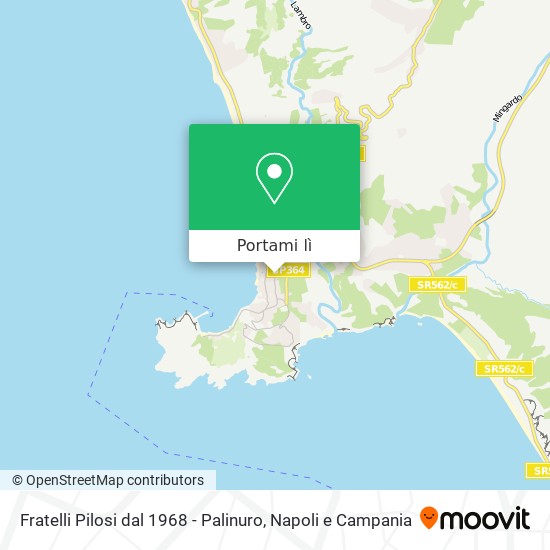 Mappa Fratelli Pilosi dal 1968 - Palinuro