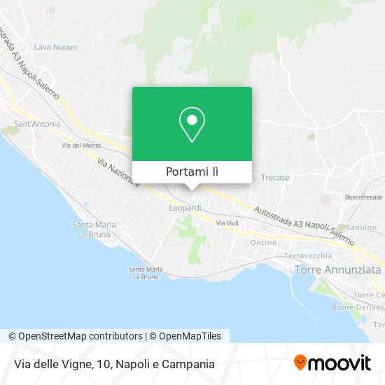 Mappa Via delle Vigne, 10