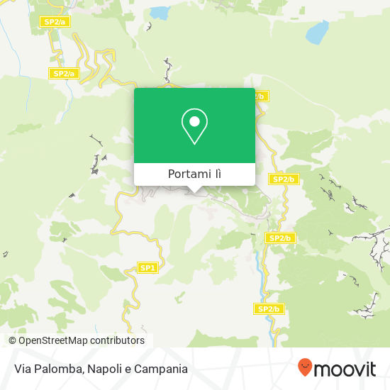 Mappa Via Palomba