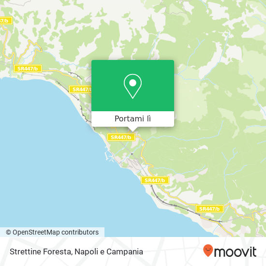 Mappa Strettine Foresta