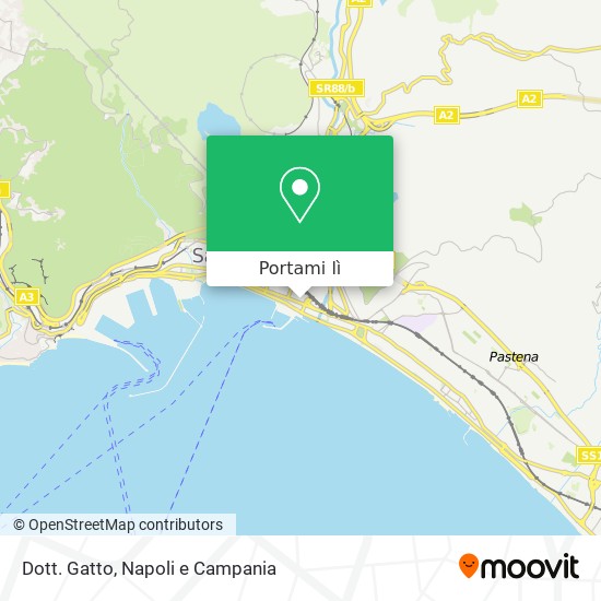 Mappa Dott. Gatto