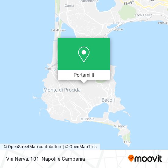 Mappa Via Nerva, 101