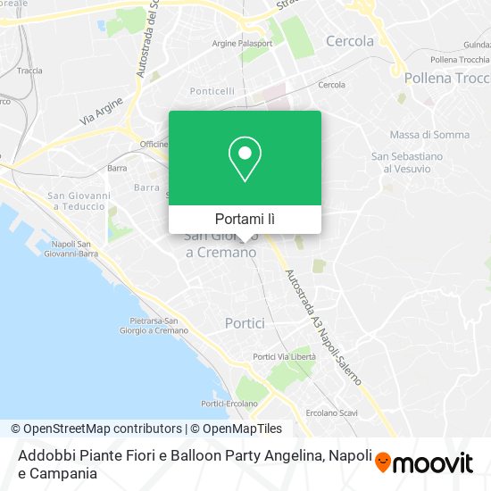 Mappa Addobbi Piante Fiori e Balloon Party Angelina
