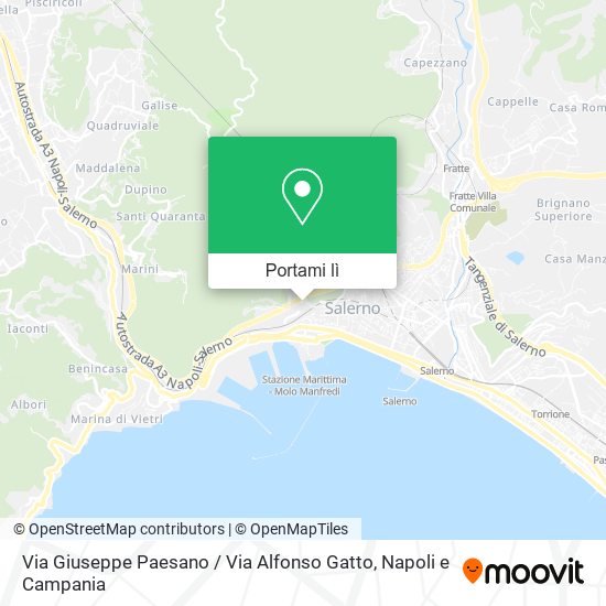Mappa Via Giuseppe Paesano / Via Alfonso Gatto