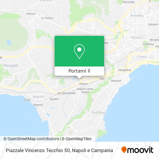 Mappa Piazzale Vincenzo Tecchio  50