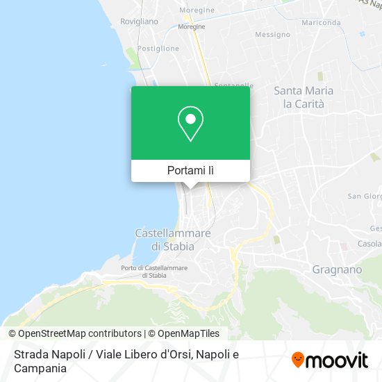 Mappa Strada Napoli / Viale Libero d'Orsi