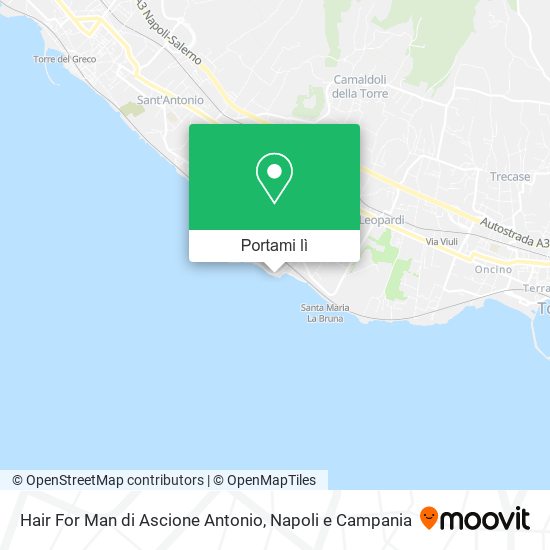 Mappa Hair For Man di Ascione Antonio
