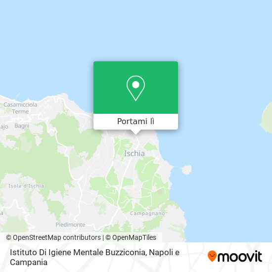 Mappa Istituto Di Igiene Mentale Buzziconia