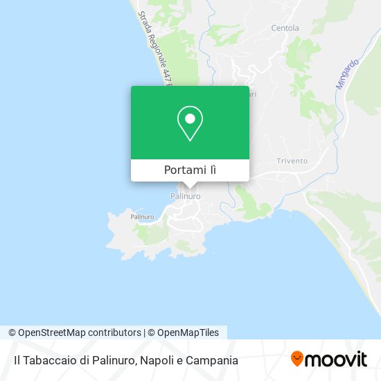 Mappa Il Tabaccaio di Palinuro