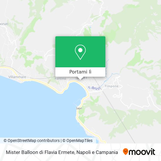 Mappa Mister Balloon di Flavia Ermete