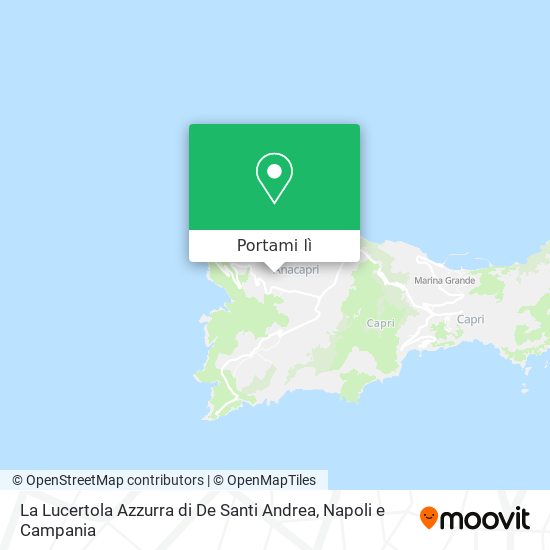 Mappa La Lucertola Azzurra di De Santi Andrea