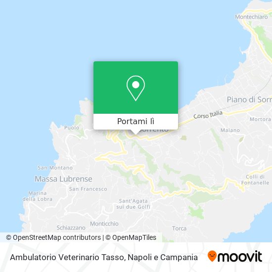 Mappa Ambulatorio Veterinario Tasso