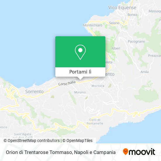 Mappa Orion di Trentarose Tommaso