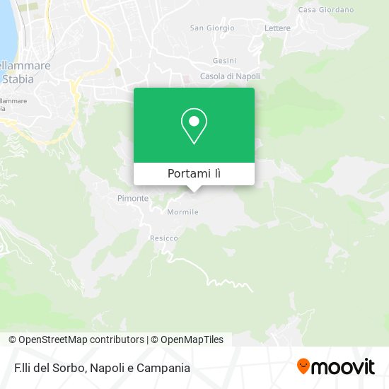 Mappa F.lli del Sorbo