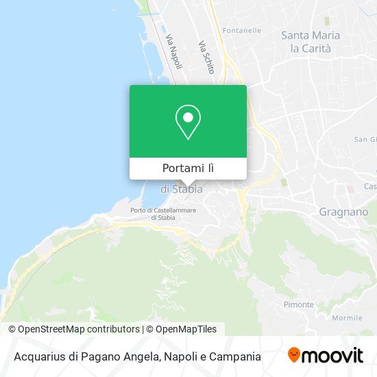 Mappa Acquarius di Pagano Angela