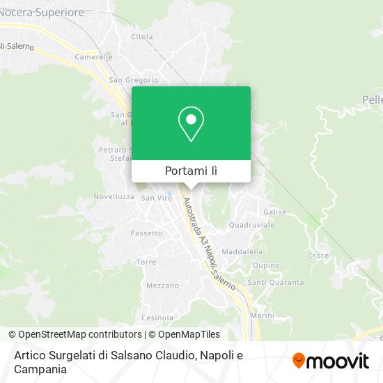 Mappa Artico Surgelati di Salsano Claudio