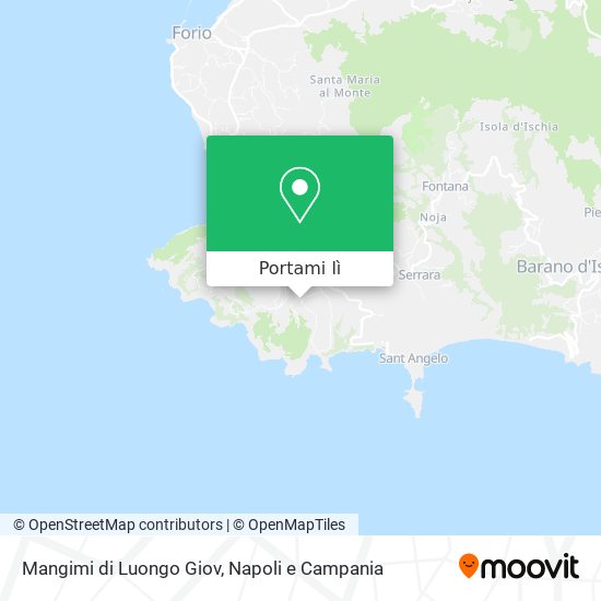 Mappa Mangimi di Luongo Giov