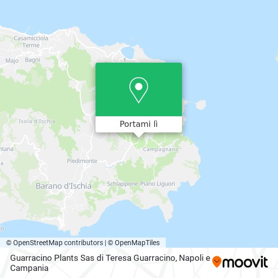 Mappa Guarracino Plants Sas di Teresa Guarracino