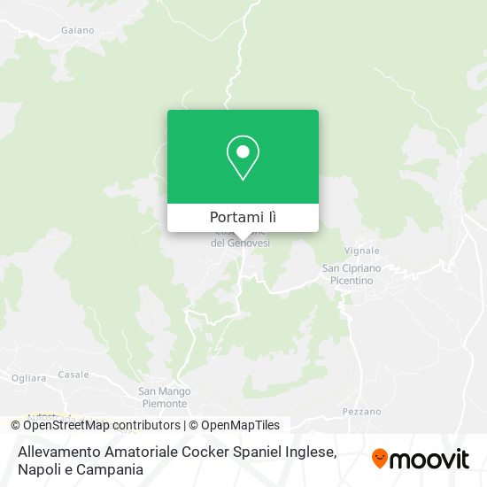 Mappa Allevamento Amatoriale Cocker Spaniel Inglese